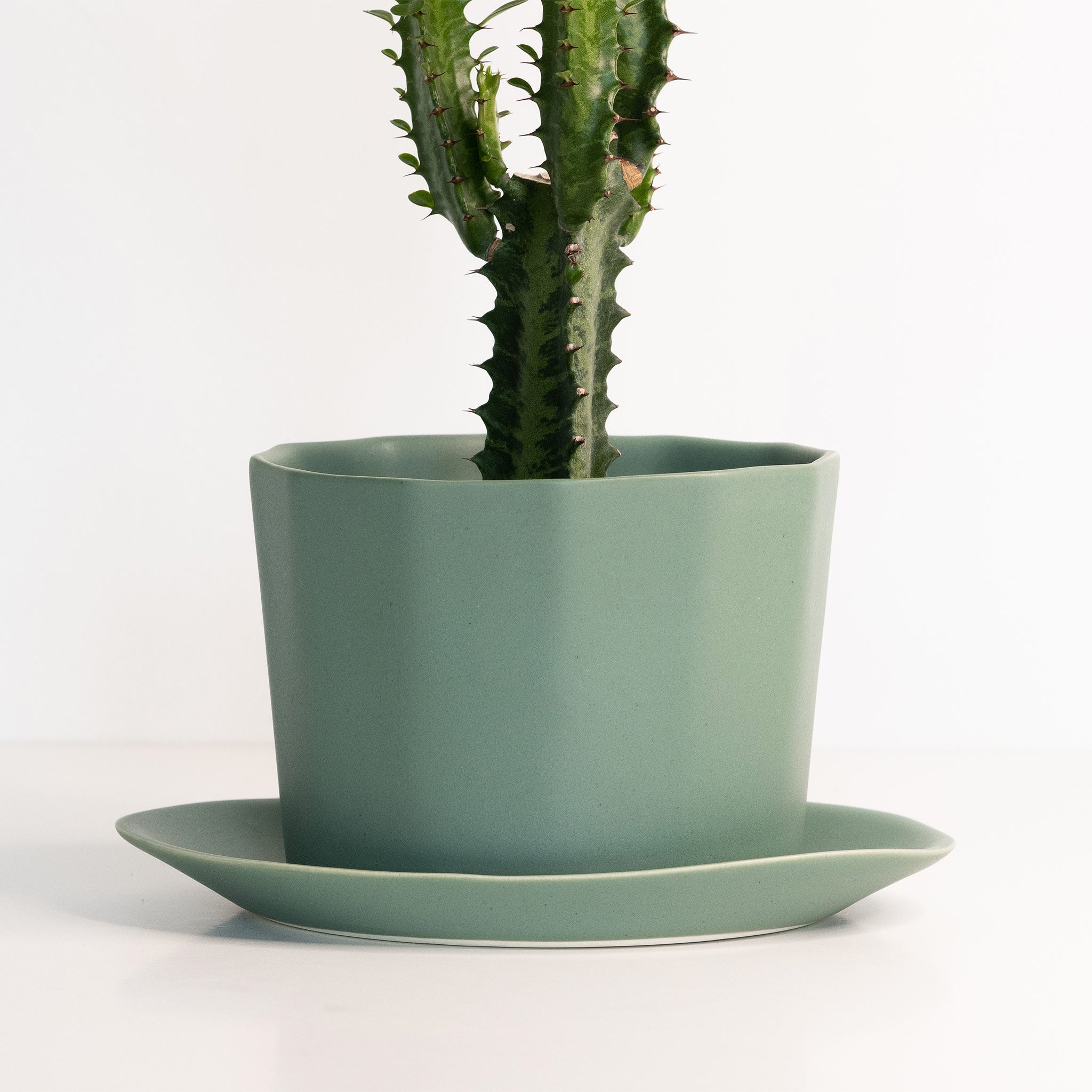 Planter Object Nº 01 — Oval Porcelain Planter