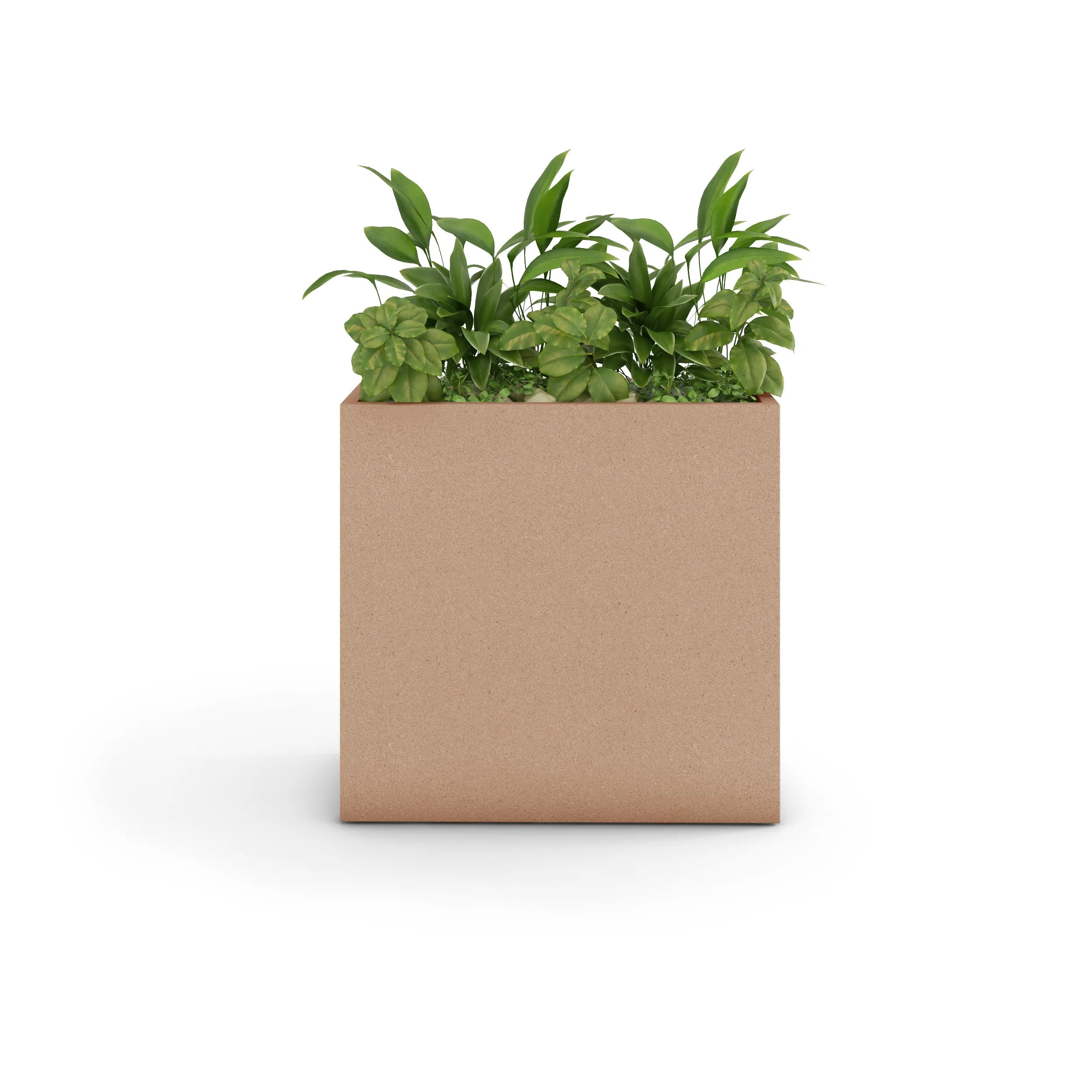 Planter Object Nº 03 — Linea Concrete Planter